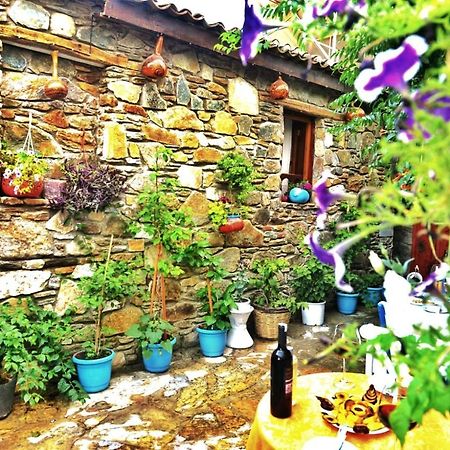 Sirincem Pension Selçuk Esterno foto